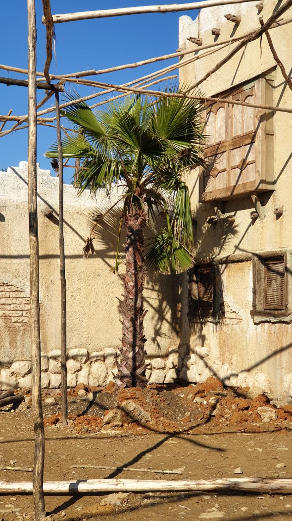 BÜYÜK SELCUKLU DİZİSİ SARAY DÜZENLEMESİNDEN