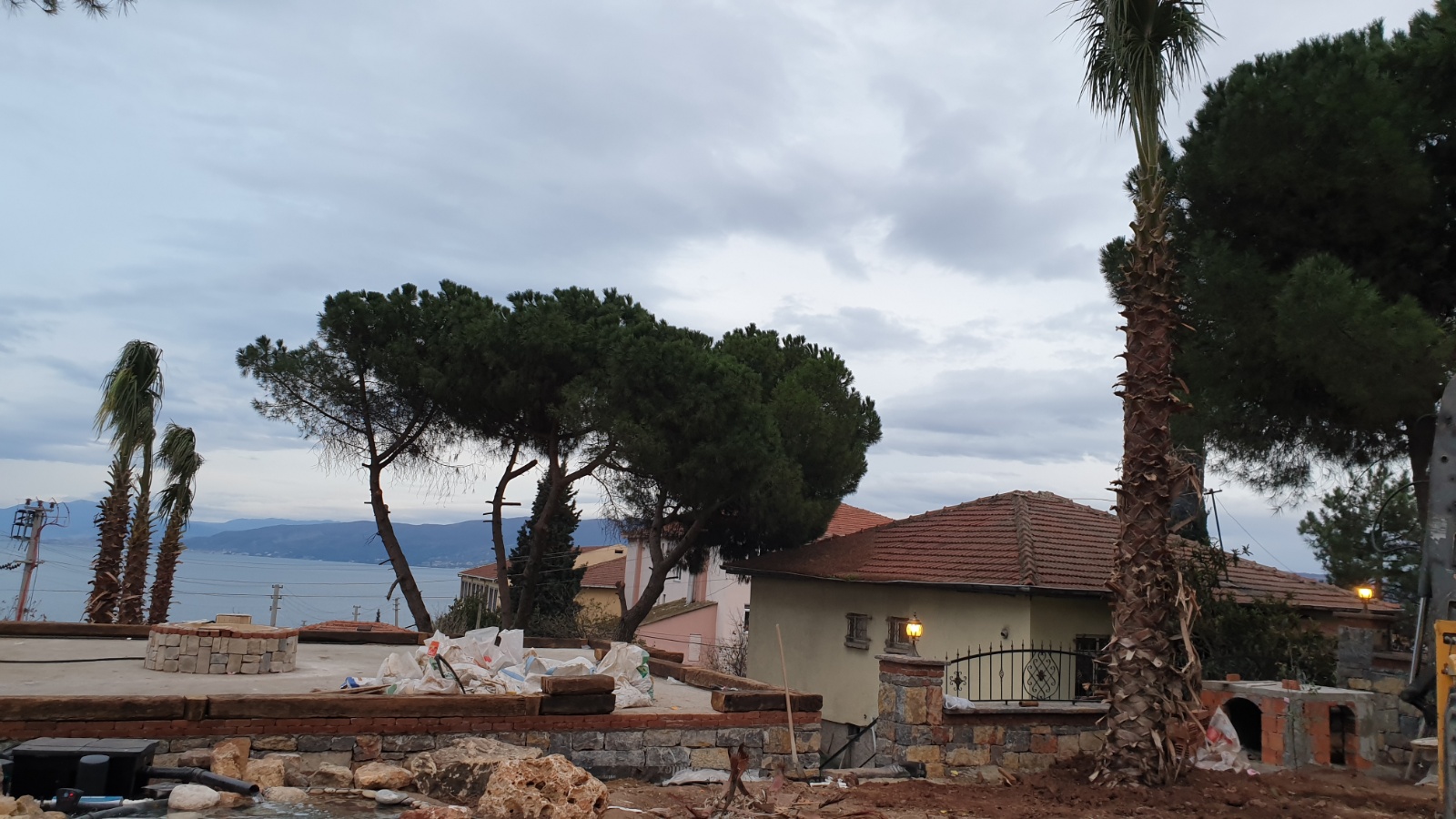 8MT PALMİYE DİKİM ÇALIŞMASI