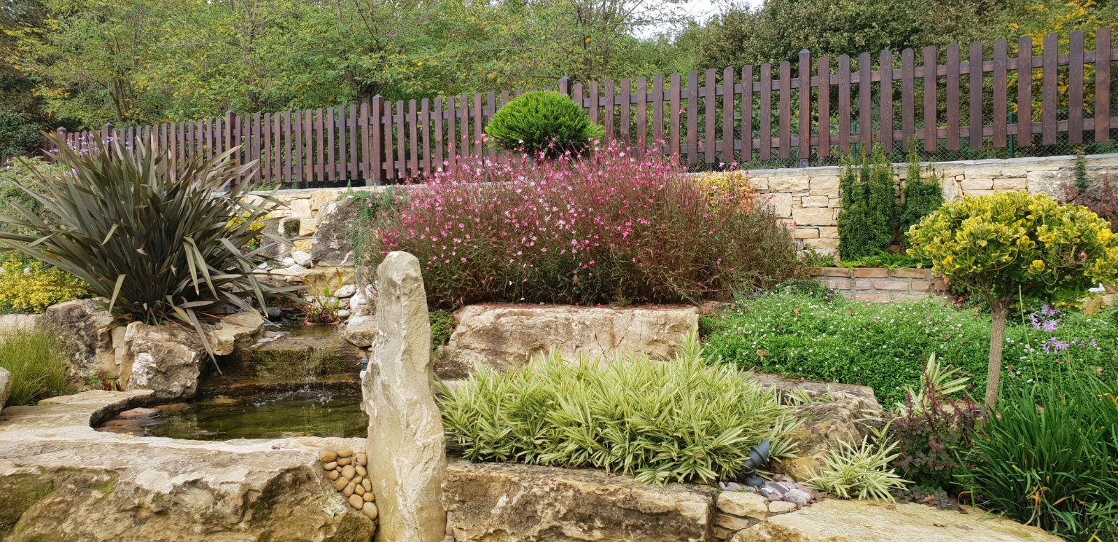 KAYA BAHÇESİ ve BİOLOJİK HAVUZ UYGULAMAMIZ