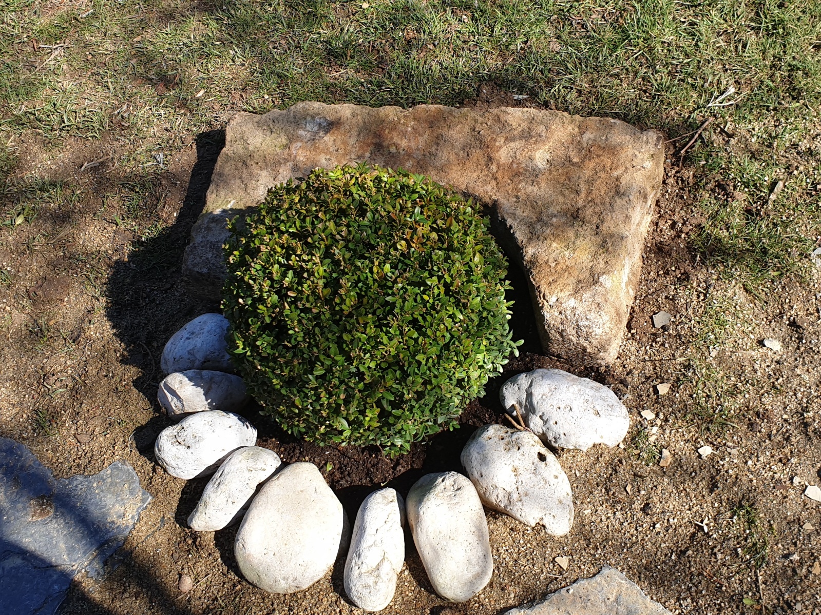 UYGULAMAMIZDAN DETAY