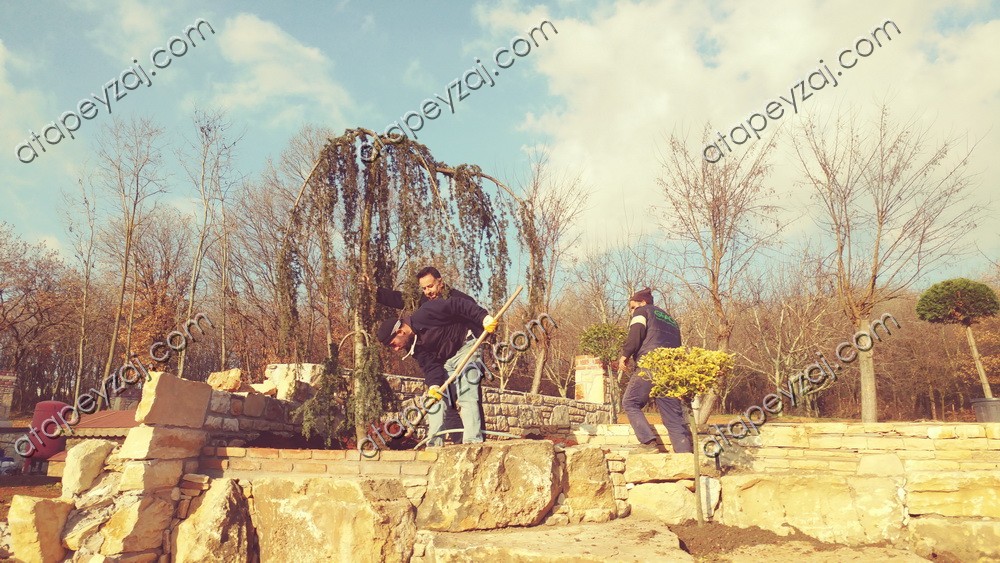 Kaya Bahçesi dikim çalışmaları