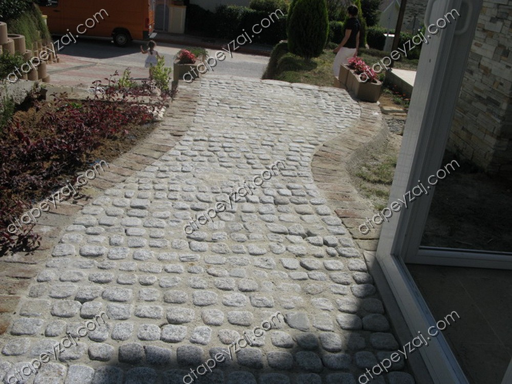 Akfıratevleri100 resize