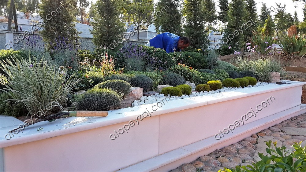 Mezarlık Düzenlemesi