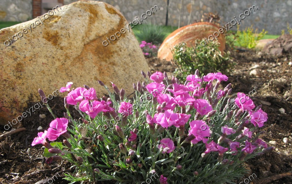 Sn. Nurel - Birsen Açıkgöz Evi