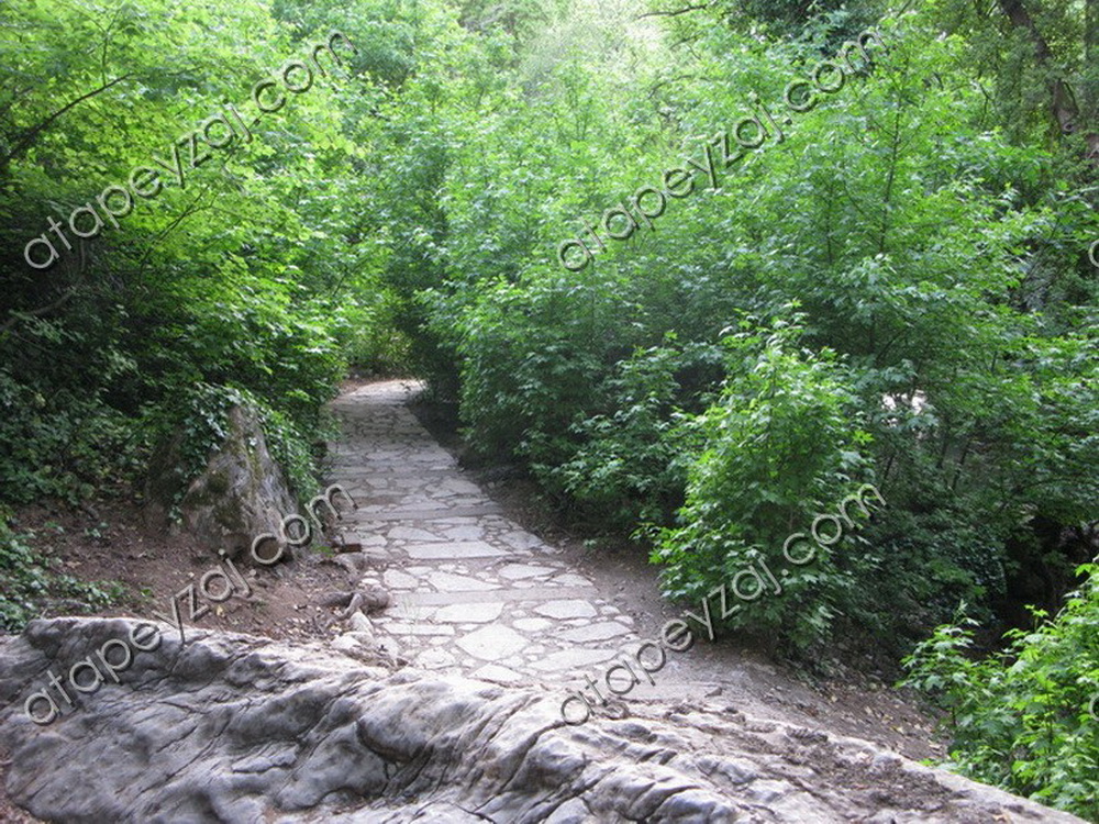 Doğal yürüyüş yolu