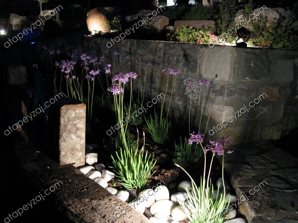 Bitkisel Aydınlatma