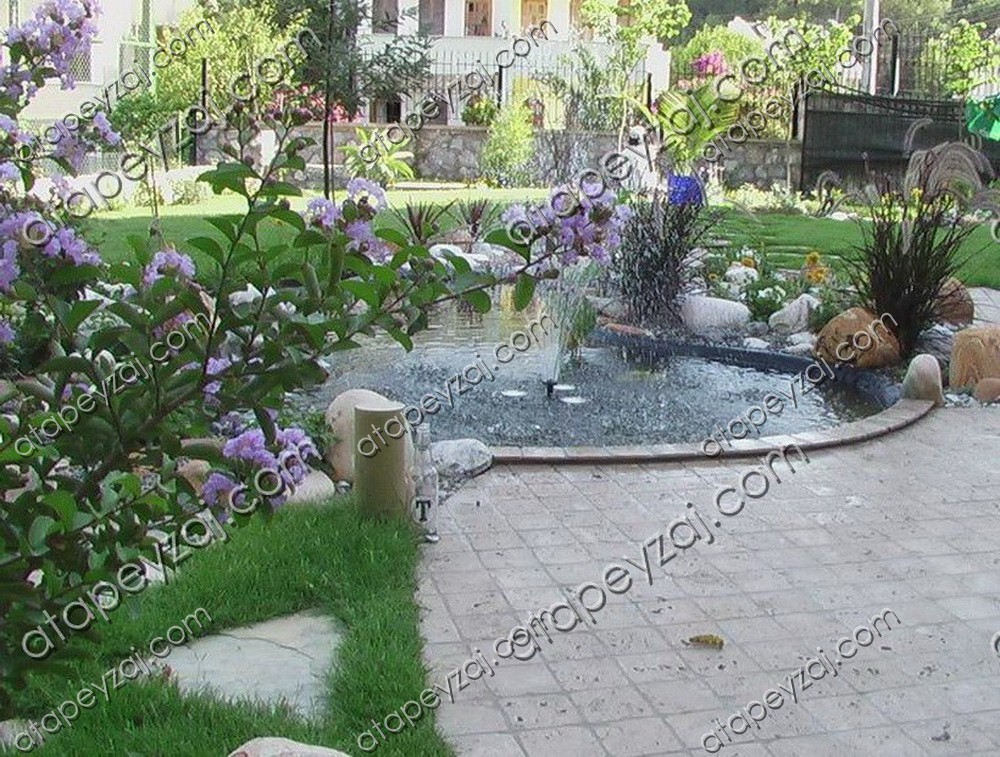 Biyolojik SÜs Havuz Uygulamamız