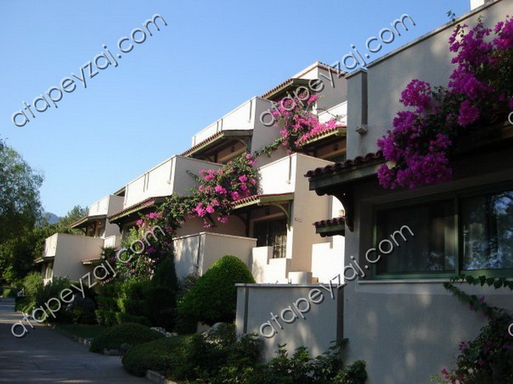 Mares Hotel ( Eski Adı: Altınyunus )